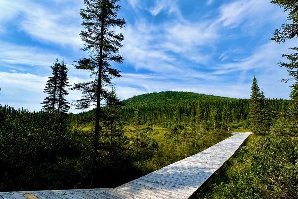 Foret-Montmorency-600x400
